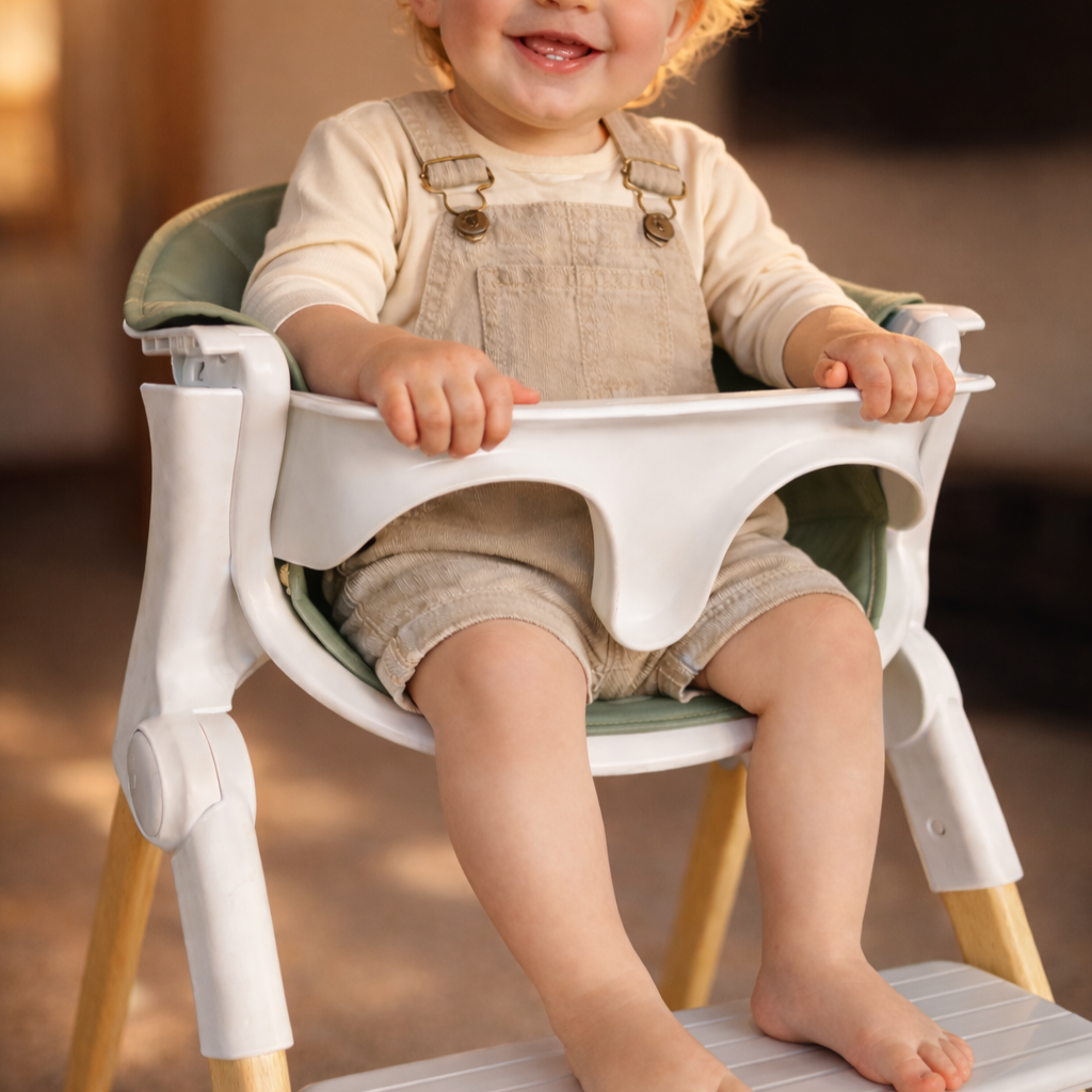 Luna Highchair